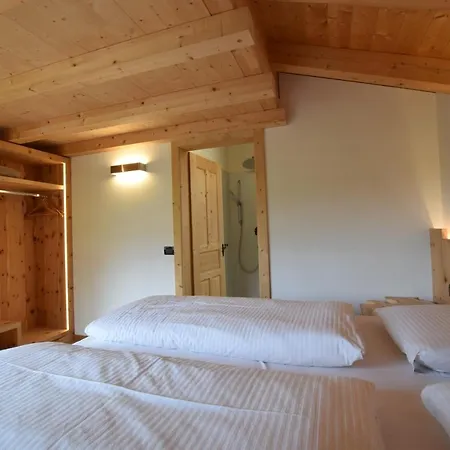 Ciasa Lisuera Apartment Badia (South Tyrol)